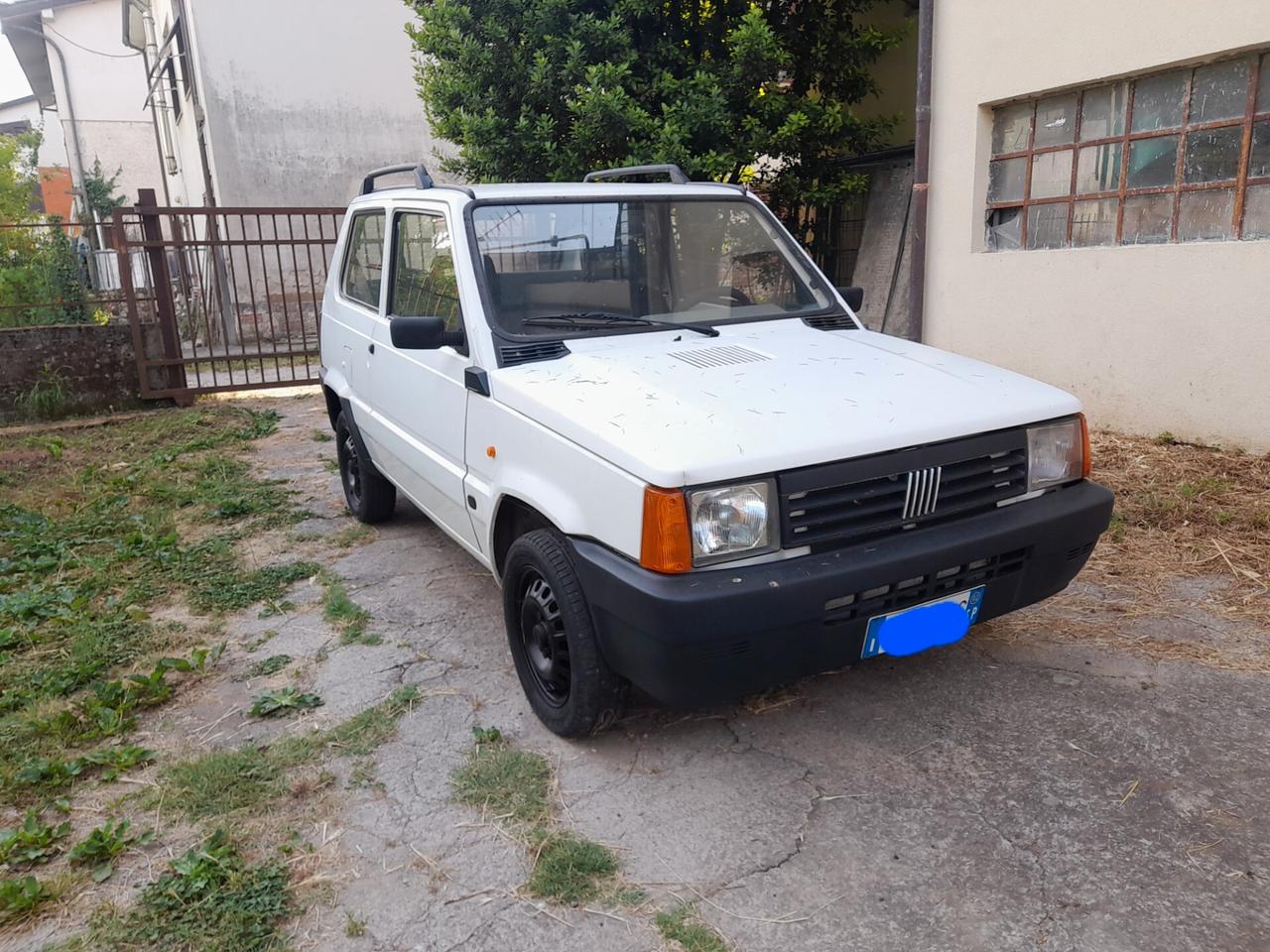 Fiat Panda 1100 i.e. cat Young