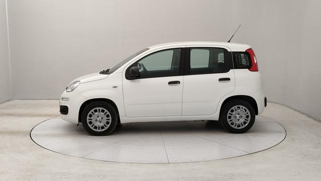 FIAT Panda 1.0 firefly hybrid Pop s&s 70cv