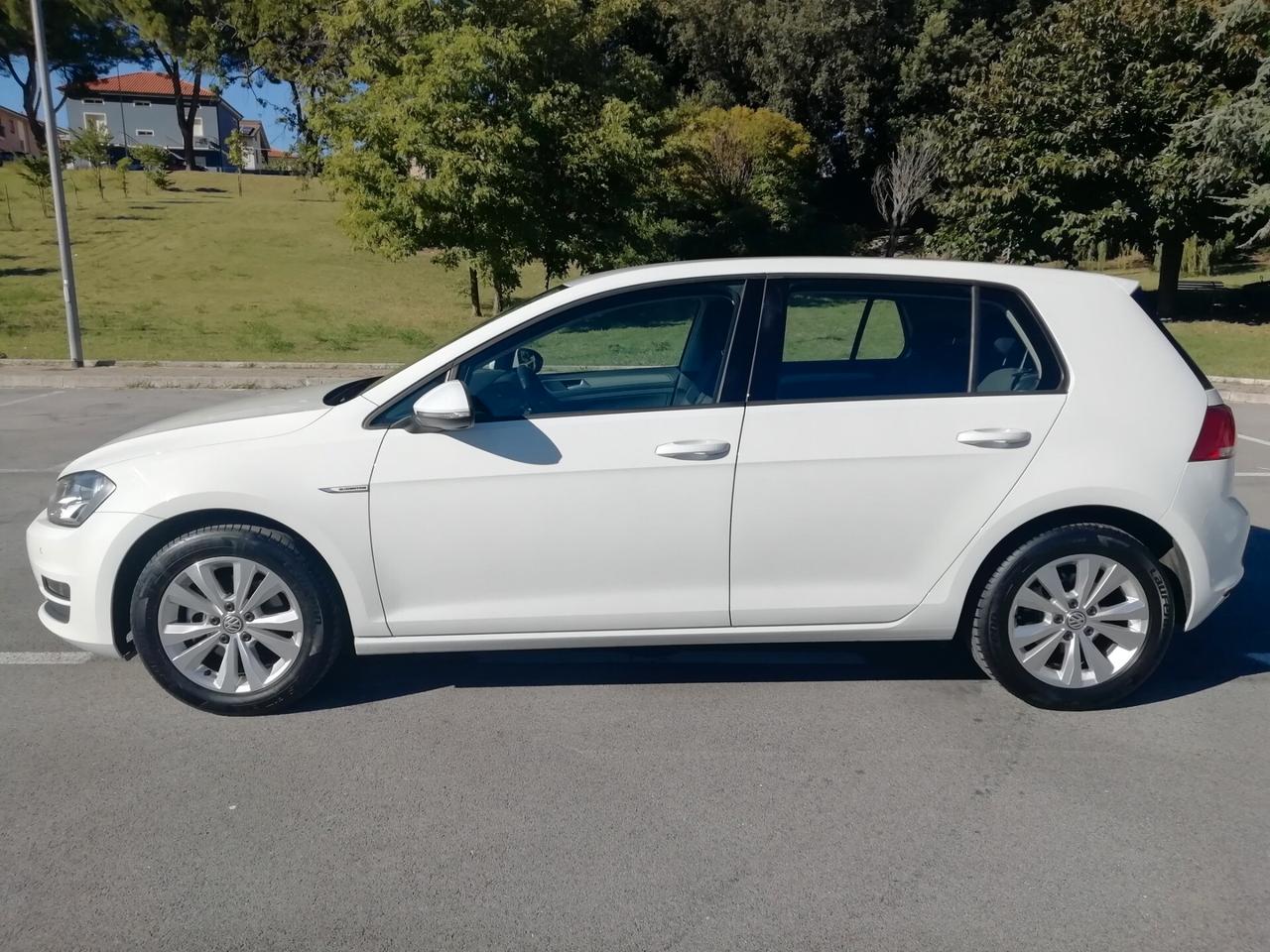 Volkswagen Golf 1.4 TGI 5p. Comfortline BlueMotion "UNICO PROPRIETARIO"