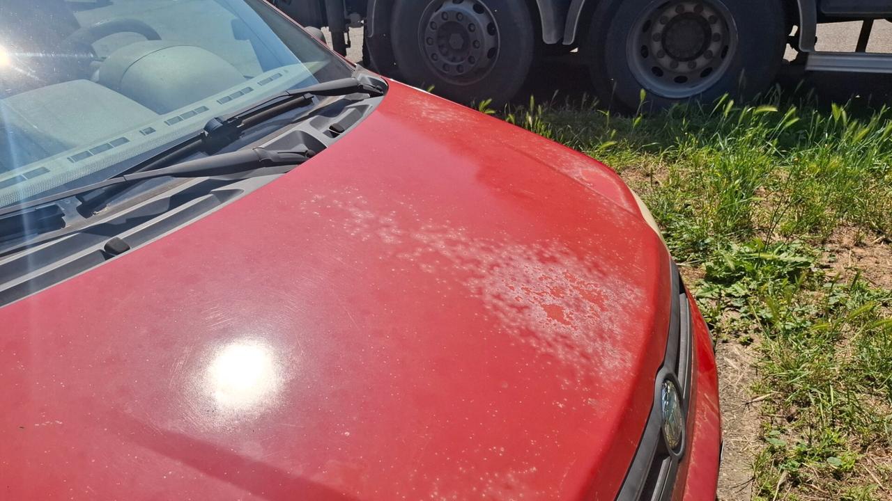 Fiat Panda 1.2 Emotion