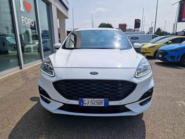 FORD Kuga 1.5 EcoBlue 120 CV aut. 2WD ST-Line X