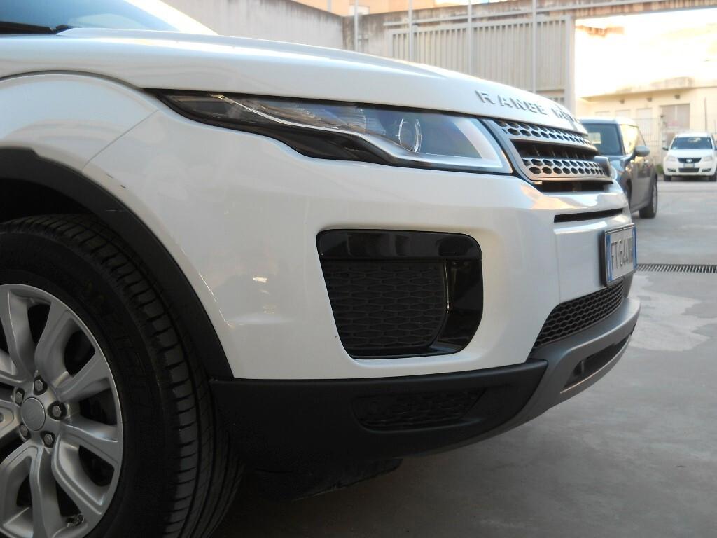 Land Rover Range Rover Evoque RANGE ROVER Evoque 2.0 TD4 150 CV 5p. Pure - Autocarro