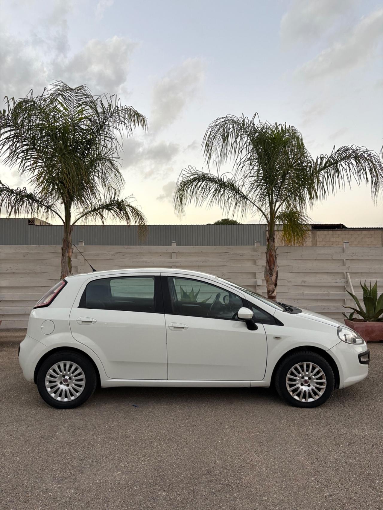 Fiat Punto Evo 1.3 Mjt tagliando eseguito 5 porte in eccellenti condizioni