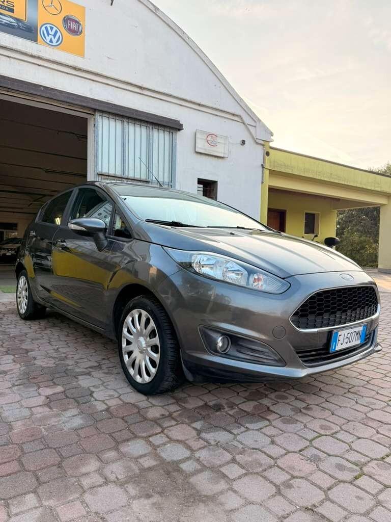 Ford Fiesta 1.4 5 porte Bz.- GPL Black & White Edition