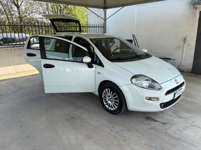 FIAT Punto 1.2 8V 5 porte EURO 6 OK NEOPATENTATI