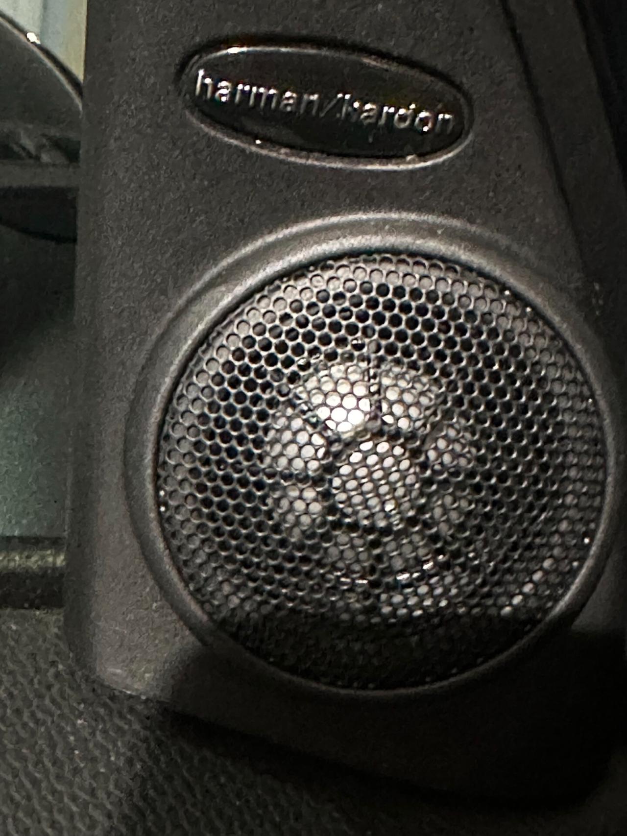 Citroen C4 Cactus BlueHDi 100 Shine TETTO PANOR. NEO PATETATI FULL!