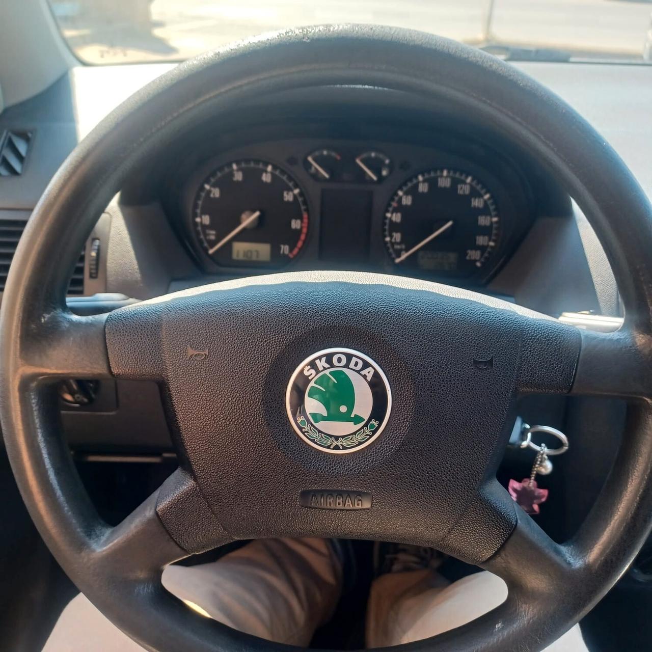 VERAMENTE ECCELLENTE FABIA 1.4 SW NEOPATENTATI