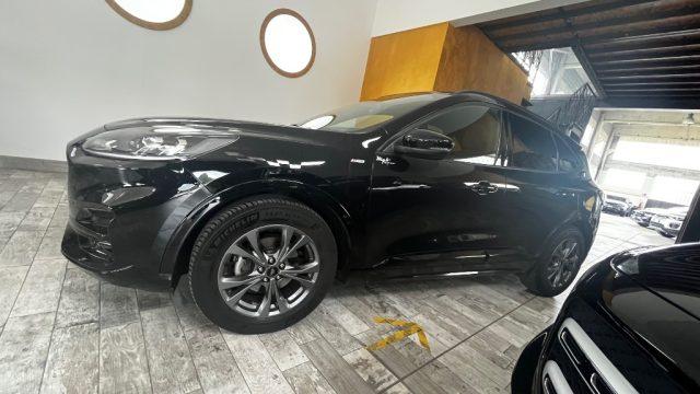 FORD Kuga 1.5 EcoBlue 120 CV 2WD ST-Line