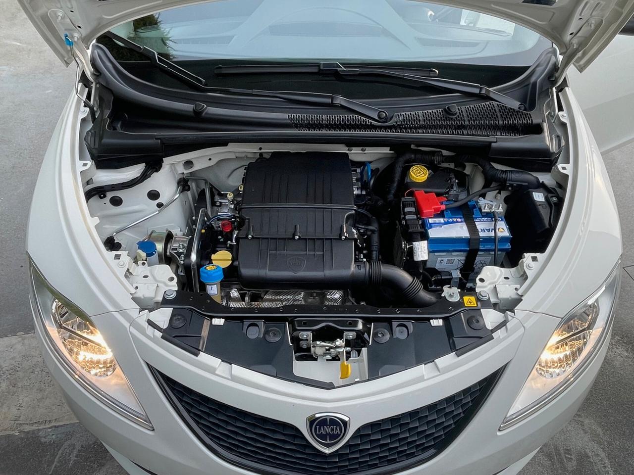 Lancia Ypsilon 1.2 69 CV 5 porte Platinum