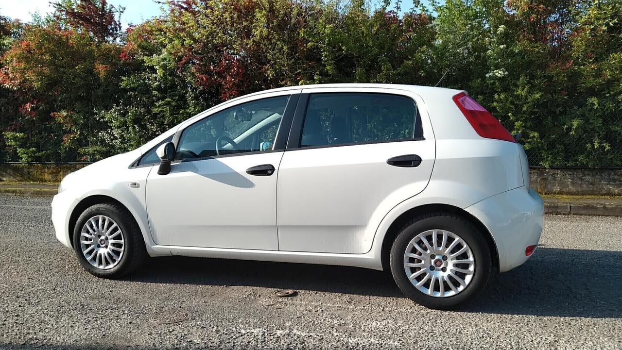 Fiat Punto 1.3 MJT II 75 CV 5 porte Street