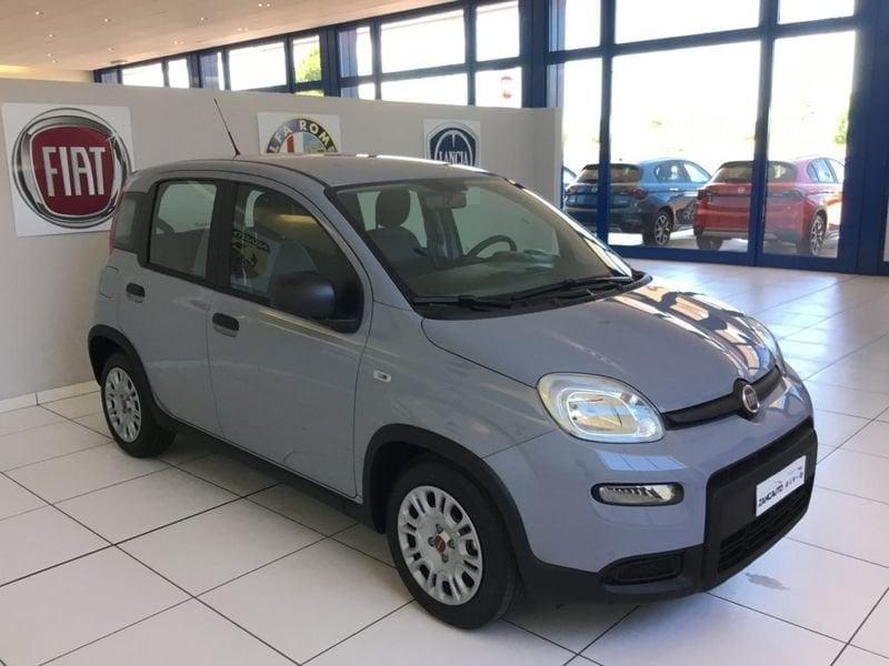FIAT Panda Panda 1.0 FireFly S&S Hybrid my22