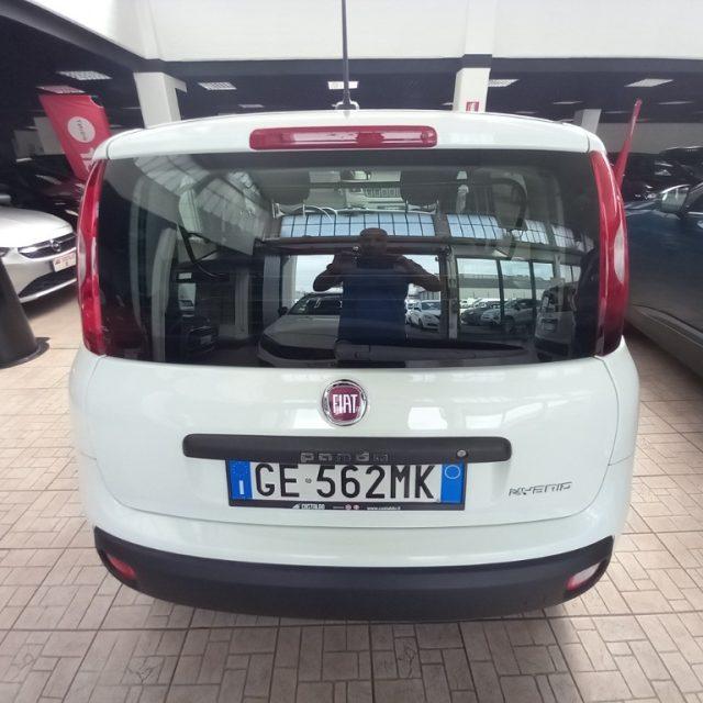 FIAT Panda 1.0 GSE S&S Hybrid Easy Van 4 posti