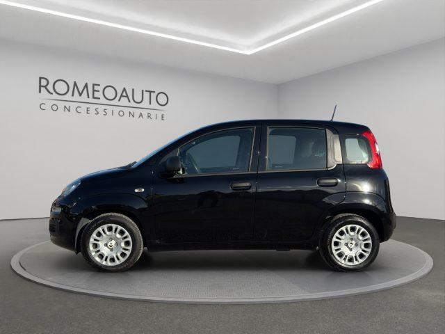 FIAT Panda 1.0 Hybrid 70cv 5 posti