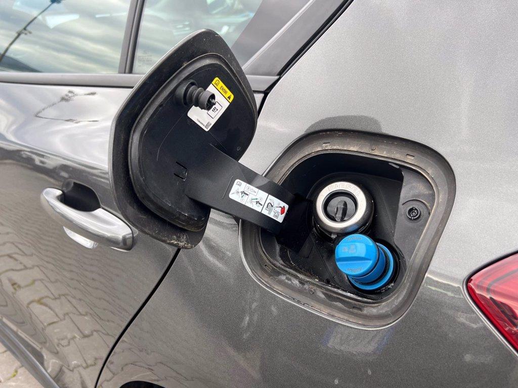 FORD Focus 1.5 EcoBlue 120 CV aut. 5p. ST-Line Design del 2022