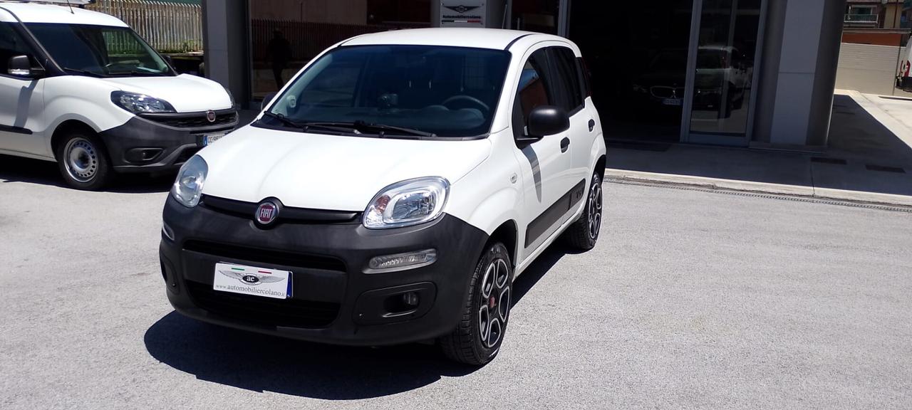 Fiat Panda 900cc 85Cv Van Eu6d 4X4 2p.POP 2 posti