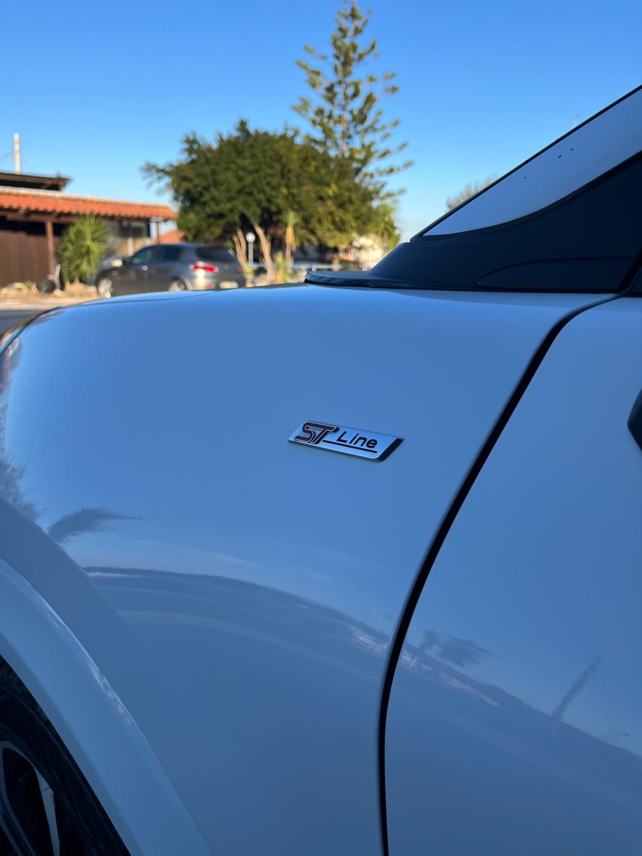 Ford Puma 1.5 EcoBlue 120 CV S&S ST-Line