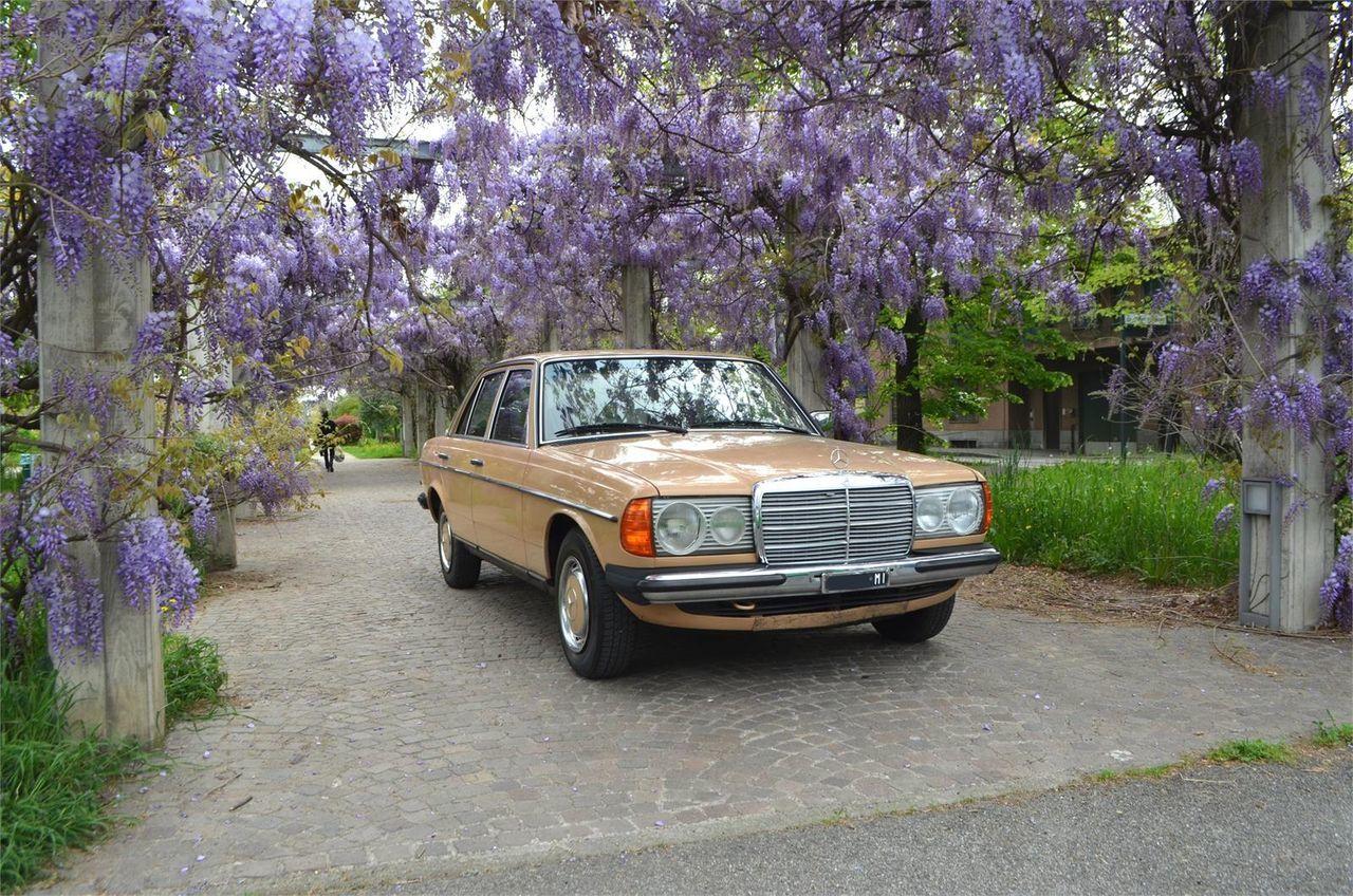 MERCEDES 200 - FINALMENTE 45 ANNI