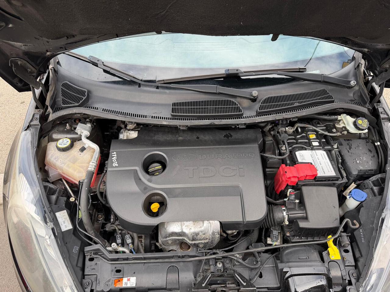 Ford Fiesta 1.4 TDCi DIESEL 70CV 5 porte - Anno 11/2012 - NEOPATENTATO