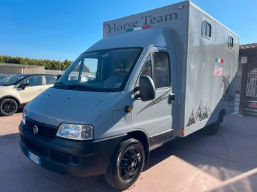 FIAT DUCATO TRASPORTO CAVALLI