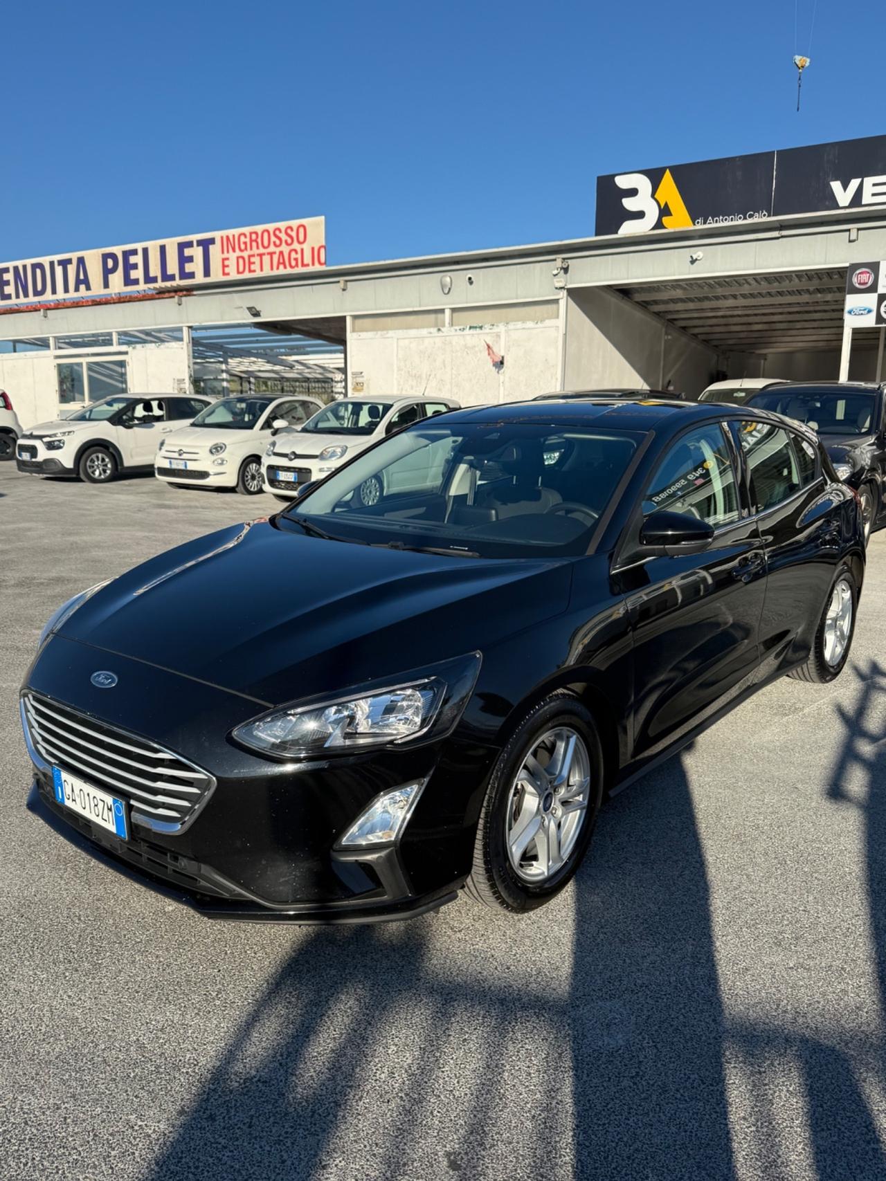 Ford Focus 1.5 EcoBlue 120 CV automatico 5p. Business Co-Pilot