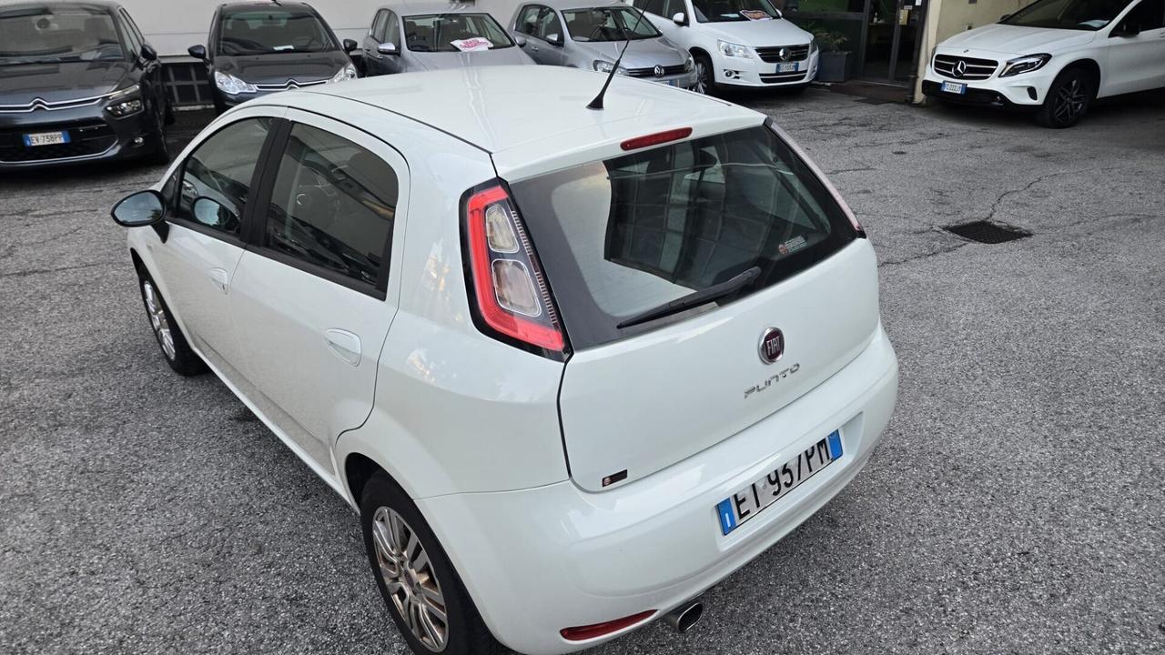 Fiat Punto 1.2 8V 5 porte Street Ok Neopatentati