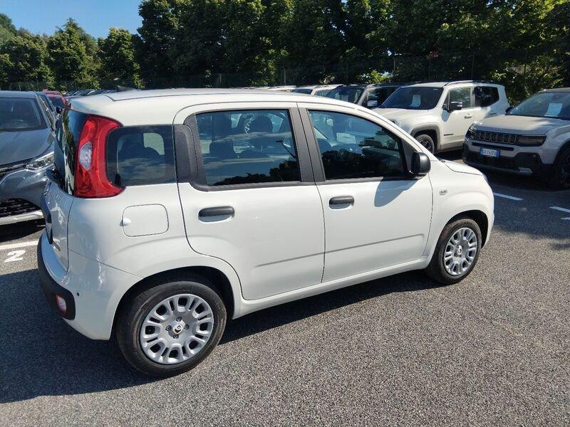 FIAT Panda New 1.0 70cv Hybrid Panda