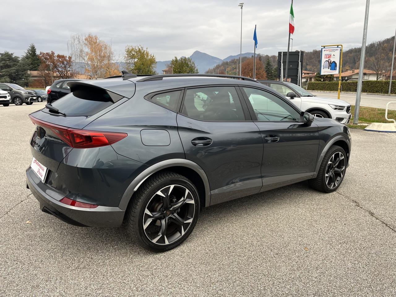 CUPRA FORMENTOR 2.0 TDI 150 CV 4X4 DSG N1 Autoc.