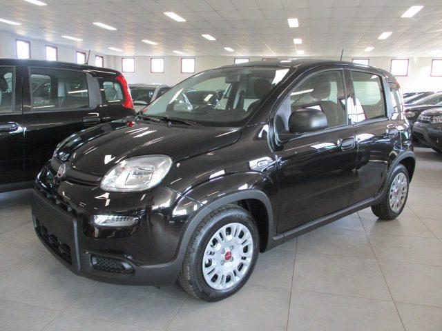 FIAT Panda 1.0 FireFly S&S Hybrid _ KM ZERO