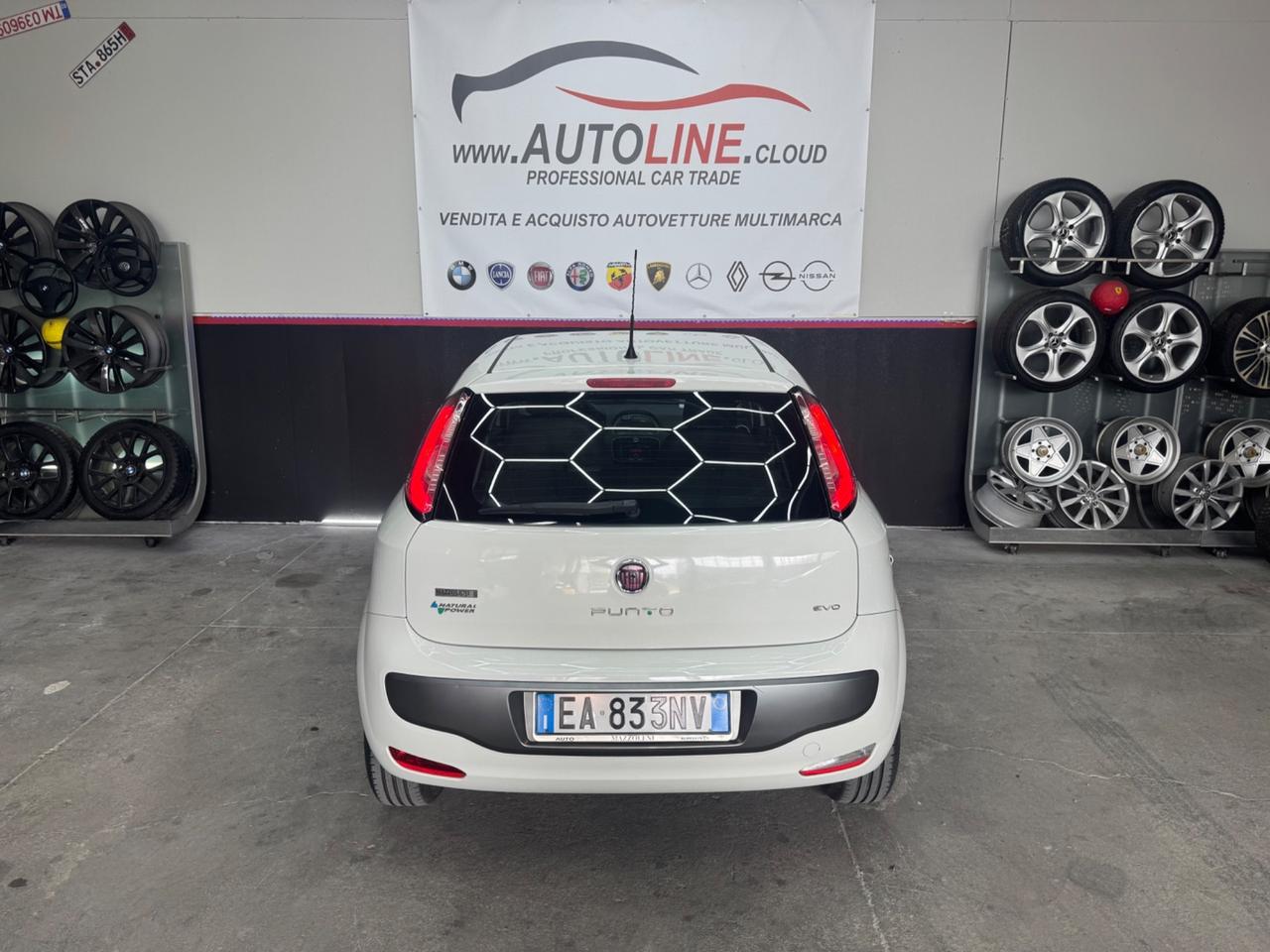 Fiat Punto Evo 1.4 Benzina Metano ADATTA NEOPATENTATI 5Porte