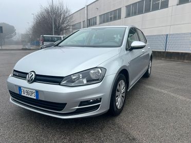 VW Golf 7 1.4 TGI 5p. BlueMotion METANO