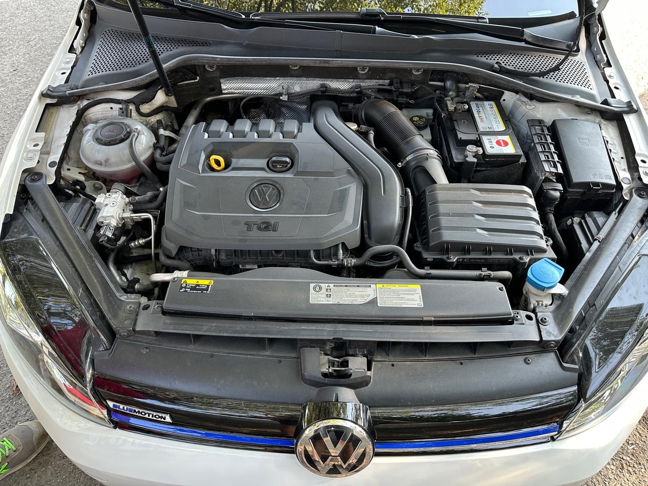 Volkswagen Golf 1.5 TGI DSG 5p. (Garanzia 24 Mesi)