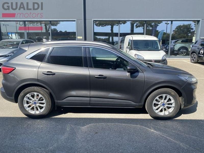 Ford Kuga Kuga 1.5 EcoBlue 120 CV aut. 2WD Titanium Business