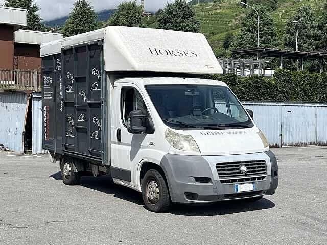 Fiat Ducato 30 2.3 MJT Trasporto Cavalli