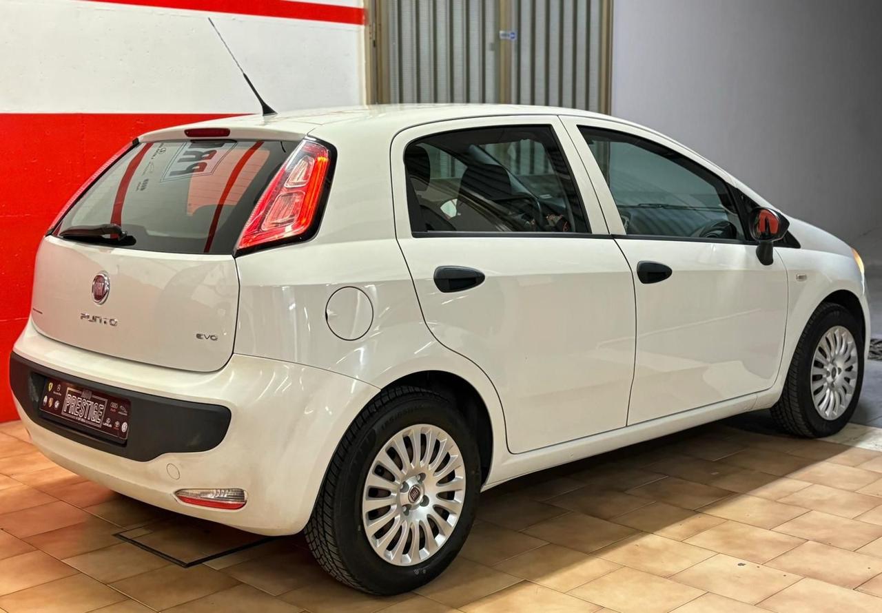 Fiat Punto Evo Punto Evo 1.3 MJT 75CV 5p. Van Dynamic - AUTO CARRO