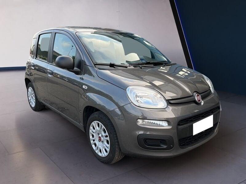 FIAT Panda III 2021 1.2 easypower City Life Gpl s&s 69cv
