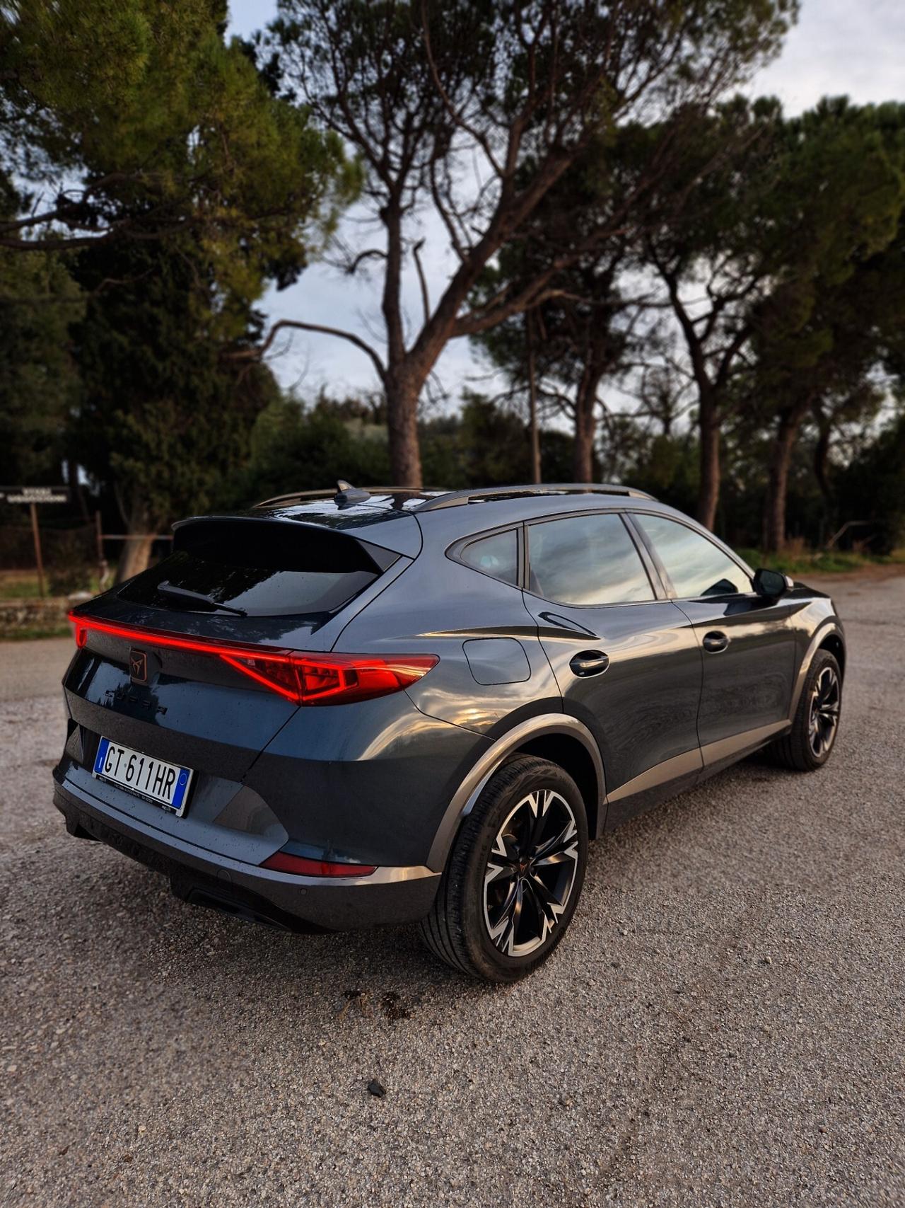 Cupra Formentor 2.0 TDI 4x4 DSG garanzia ufficiale