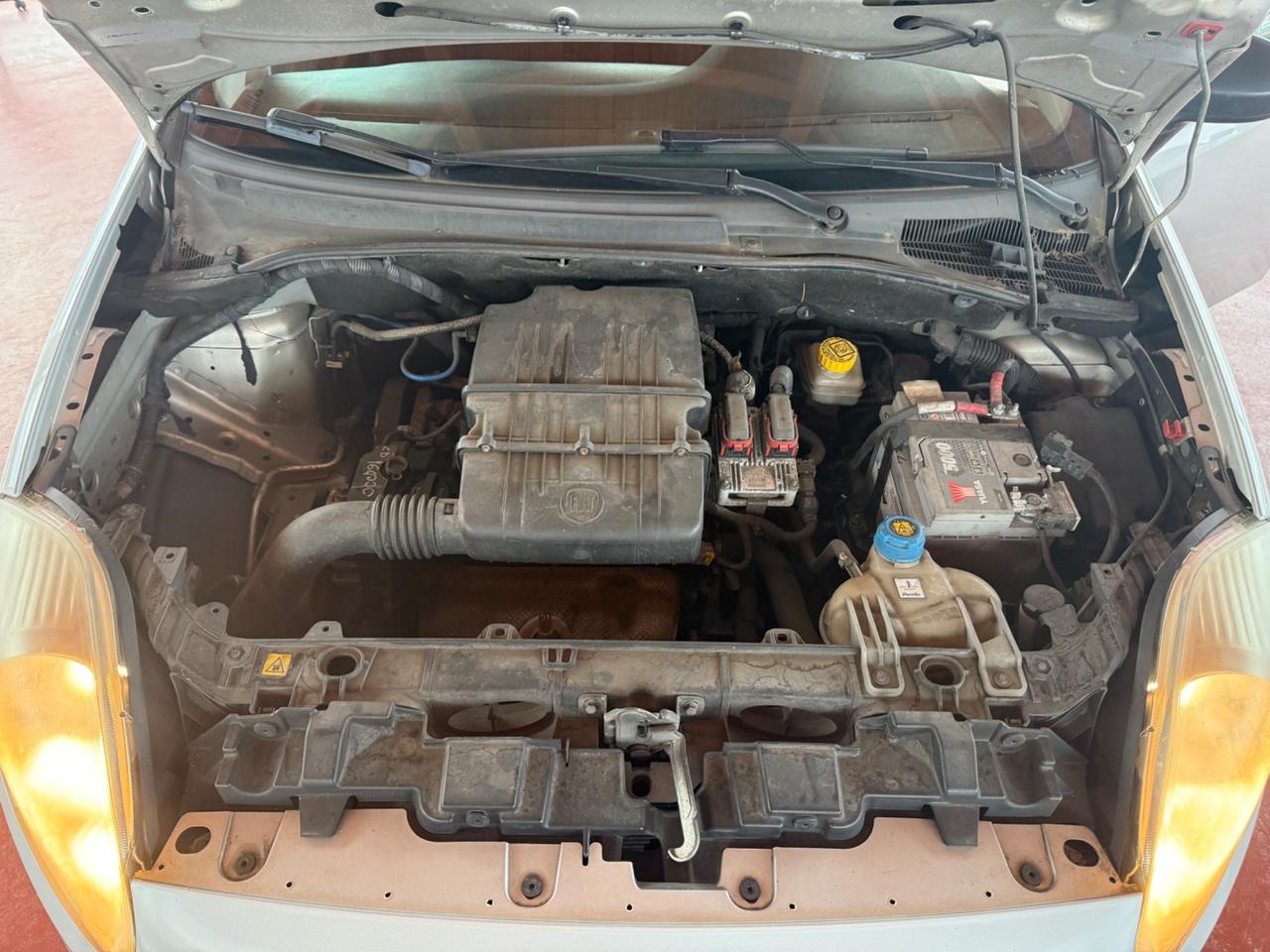 Fiat Punto Evo 1.2 Benzina - Neopatentati