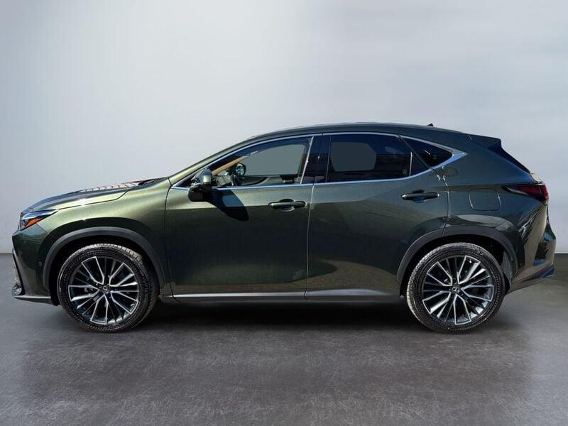 Lexus NX Hybrid Luxury 4WD MY22