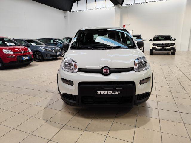 FIAT Panda 1.0 FireFly S&S Hybrid RED