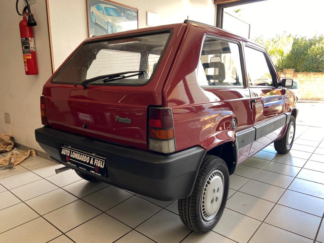 Fiat Panda 900 i.e. cat Young