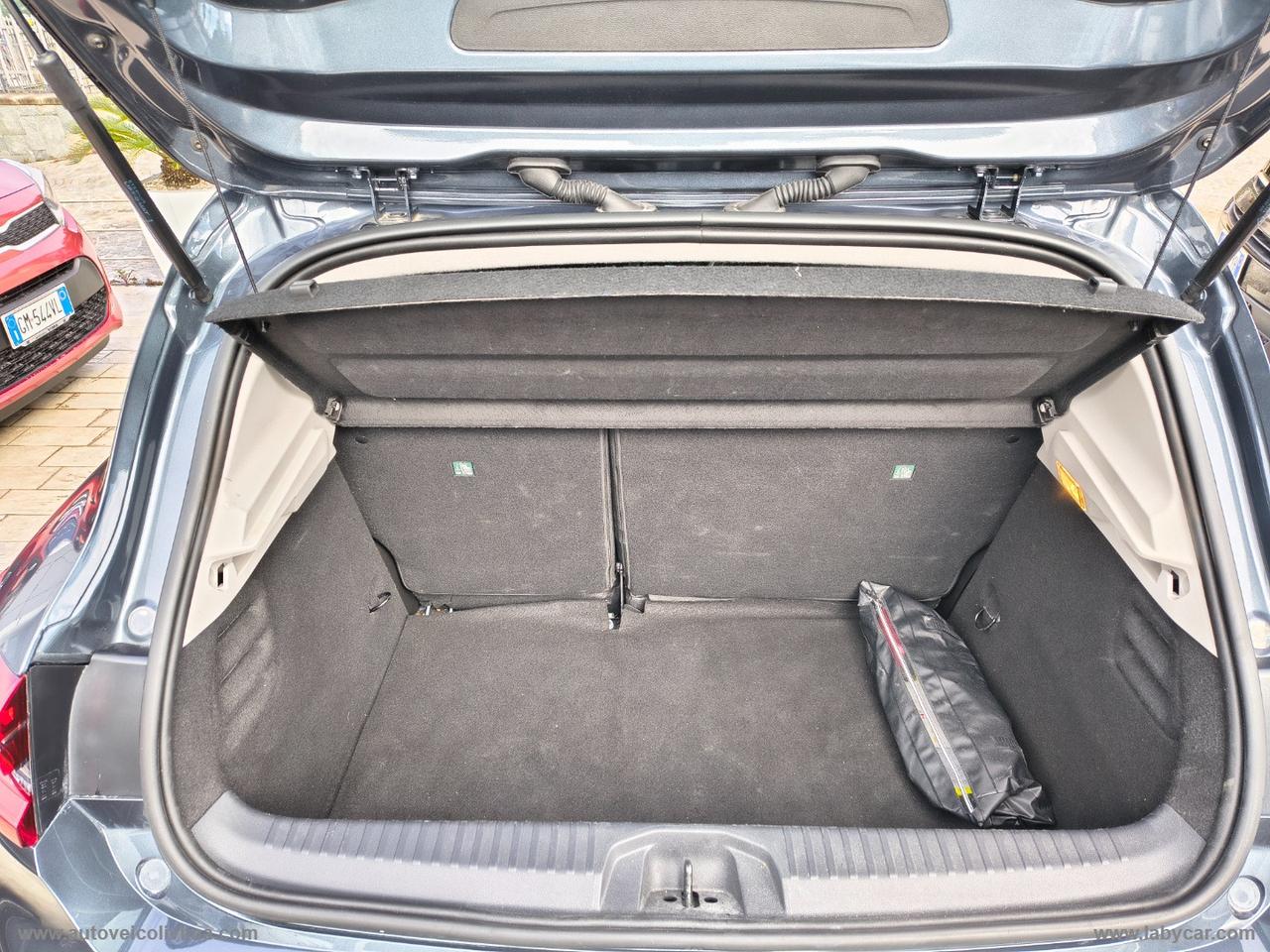 RENAULT Clio TCe 100 CV GPL Business