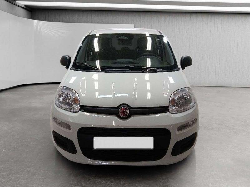 FIAT Pandina 1.0 firefly hybrid Icon s&s 70cv 5p.ti
