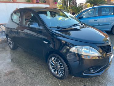 Lancia Y Ypsilon 1.2 69 CV 5p Platinum DISTRIB FULL NEOPATENTATI