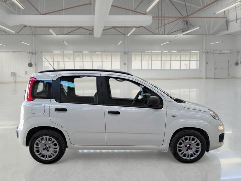 FIAT PANDA 1.2 69cv EasyPower E6 Easy 5 PORTE
