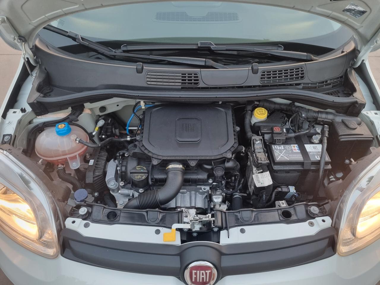 Fiat Panda 1.0 FireFly S&S Hybrid City Life - 10/2023