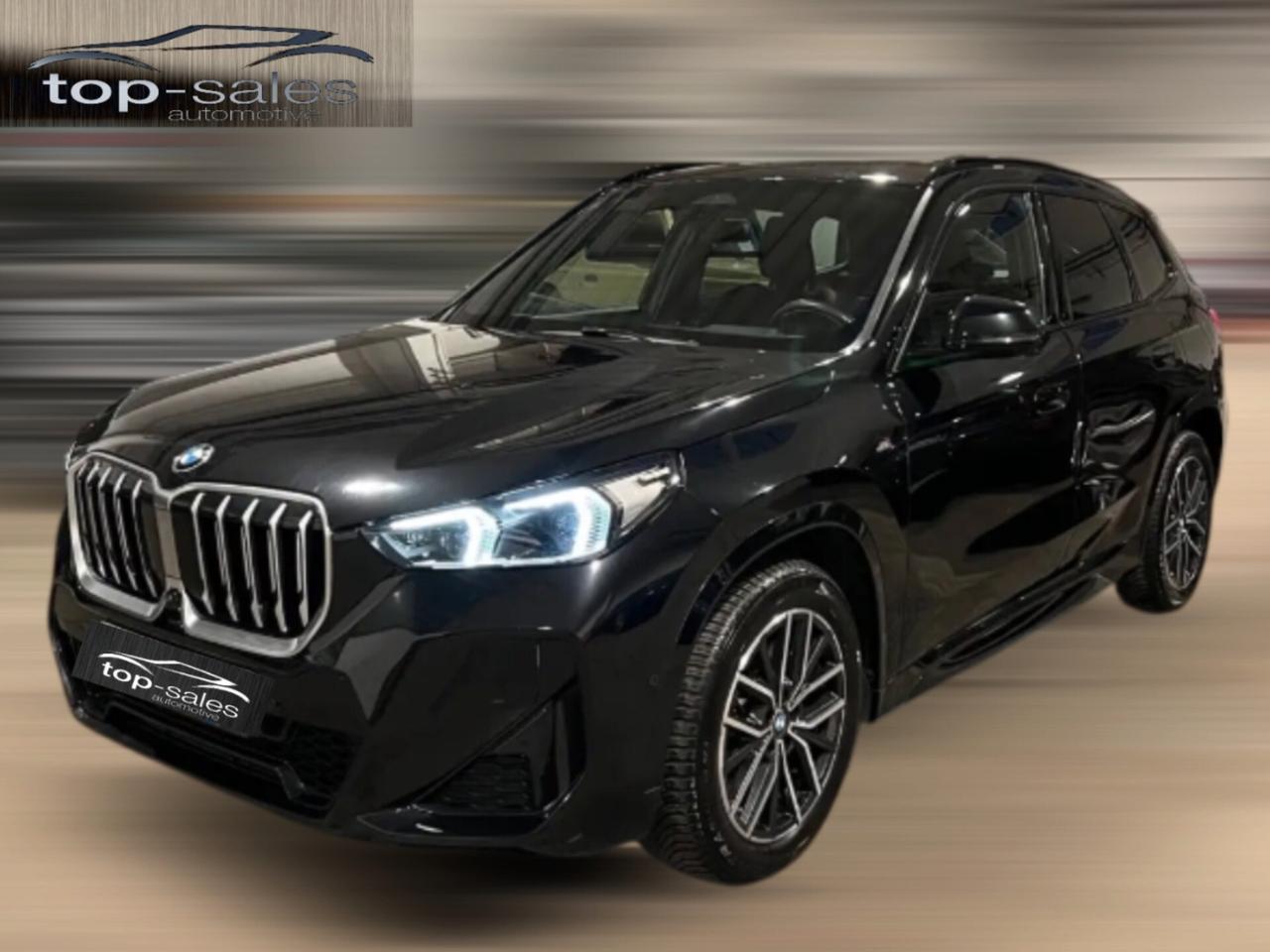 Bmw X1 sDrive 20i Msport Perfetta