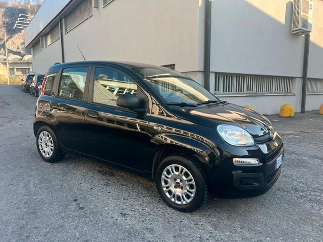 Fiat Panda 1.2 Easy-71000km-NEOPATENTATI-5POSTI