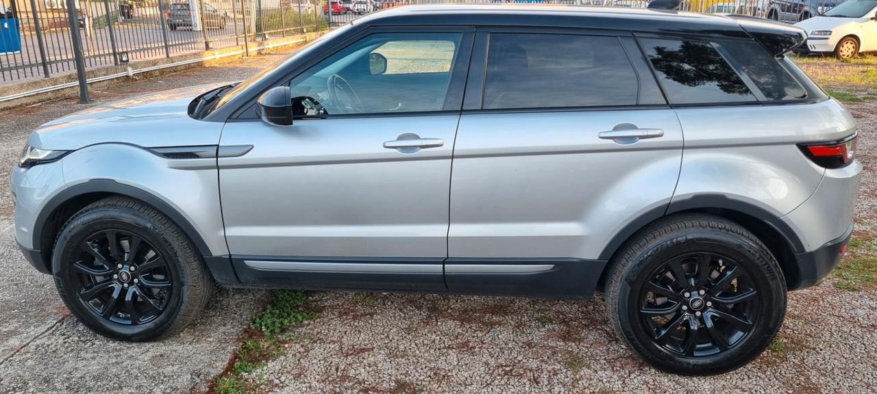 Land Rover Range Evoque 2.0 TD4 150 CV 5p. Pure