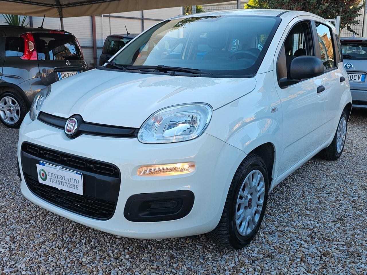 Fiat Panda 1.2 Easy