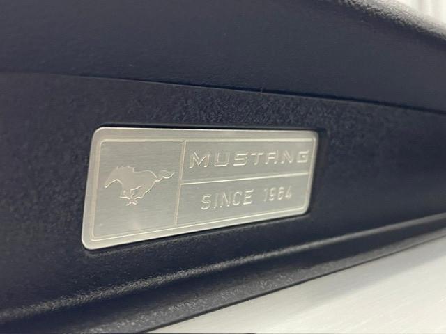 Ford Mustang Fastback 2.3 EcoBoost aut.